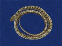 藏品(花浪蛇)的圖片